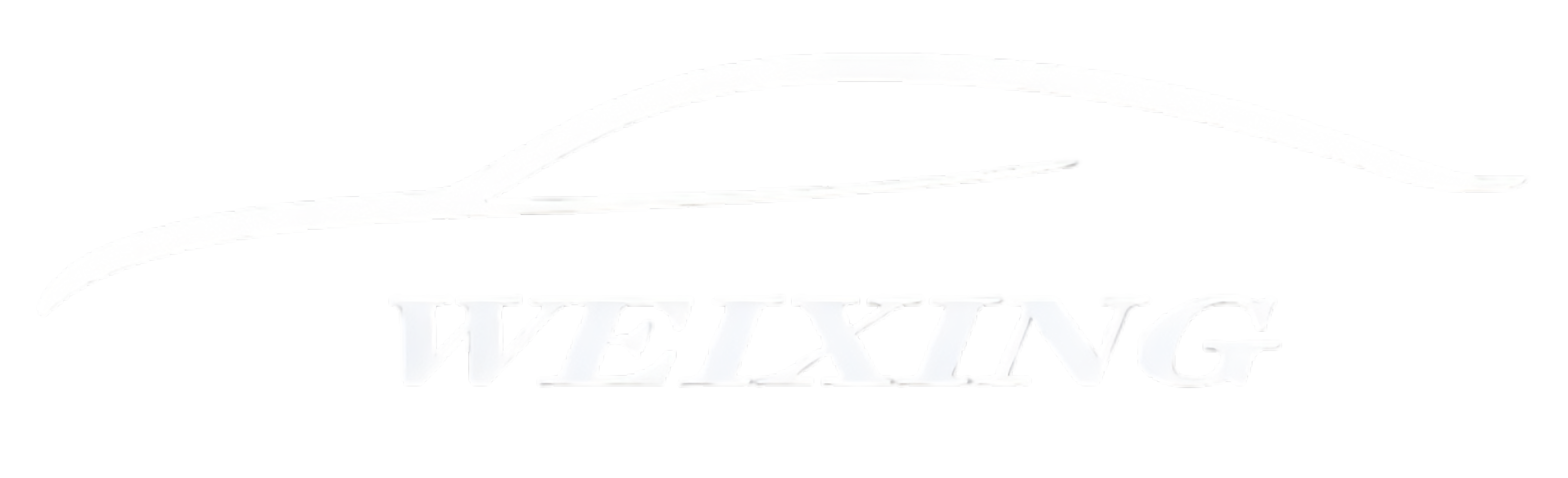 浙江位星进出口有限公司标志